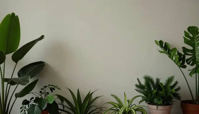 信息匹配对广告投放效果的关键影响